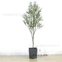 uploads/erp/collection/images/Home Garden/dgjiawang/XU0613085/img_b/XU0613085_img_b_3